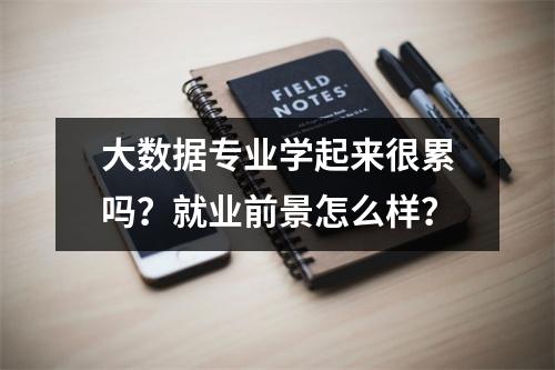大数据专业学起来很累吗?就业前景怎么样?