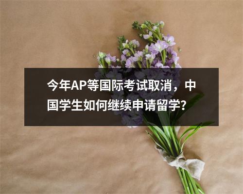 今年AP等国际考试取消,中国学生如何继续申请留学?