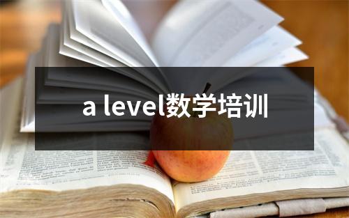a level数学培训