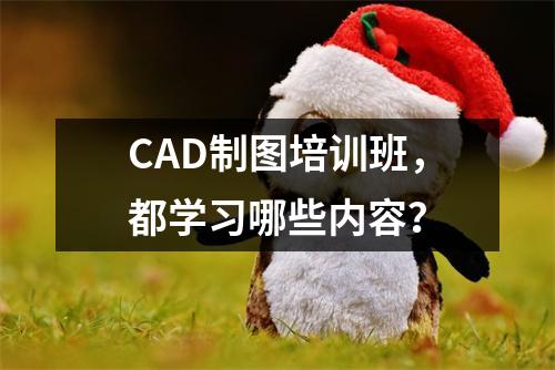 CAD制图培训班,都学习哪些内容?