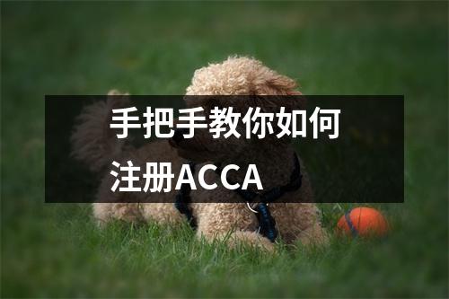 手把手教你如何注册ACCA