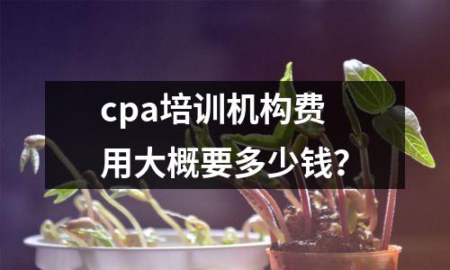 cpa培训机构费用大概要多少钱?
