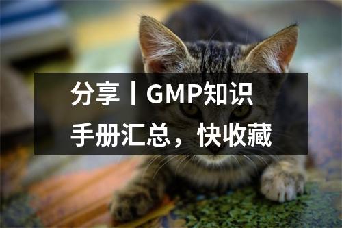 分享丨GMP知识手册汇总,快收藏