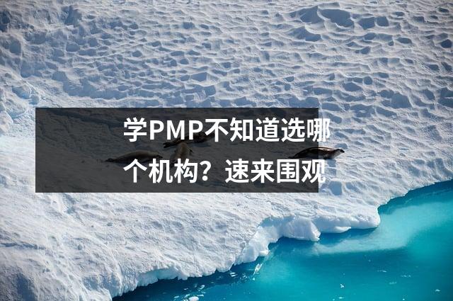 学PMP不知道选哪个机构？速来围观