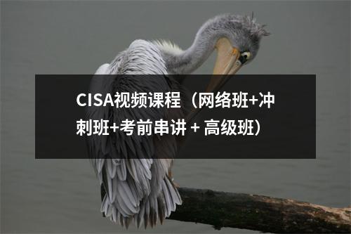 CISA视频课程(网络班+冲刺班+考前串讲 + 高级班)