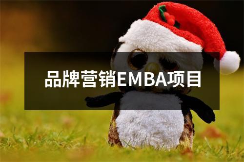 品牌营销EMBA项目