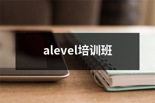 alevel培训班