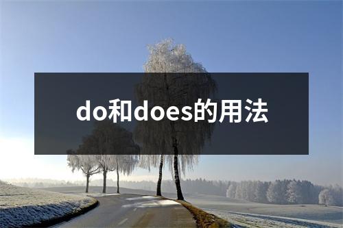 do和does的用法