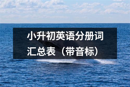 小升初英语分册词汇总表(带音标)