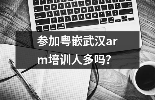 参加粤嵌武汉arm培训人多吗？
