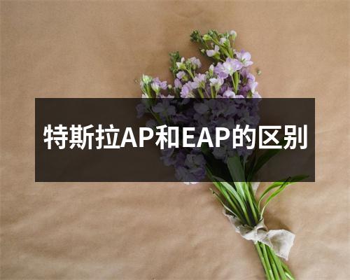 特斯拉AP和EAP的区别