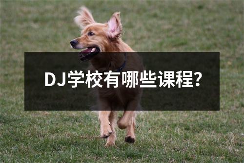 DJ学校有哪些课程?