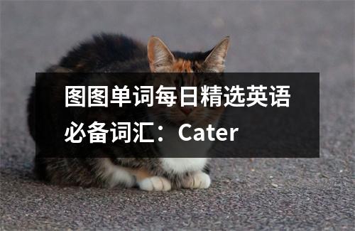 图图单词每日精选英语必备词汇:Cater