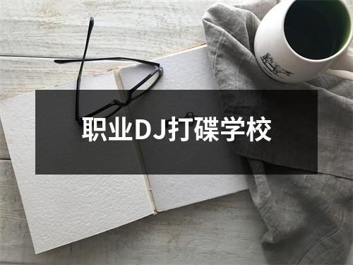职业DJ打碟学校