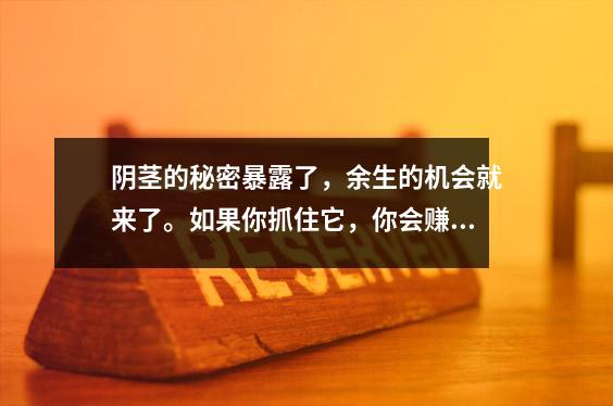 阴茎的秘密暴露了,余生的机会就来了。如果你抓住它,你会赚很多钱!