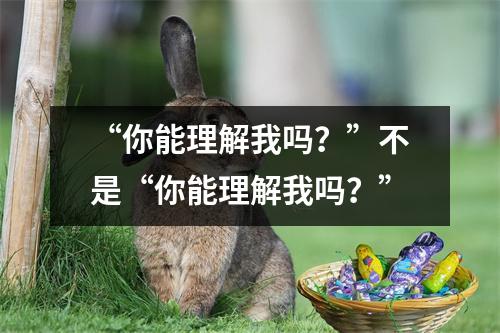 “你能理解我吗?”不是“你能理解我吗?”