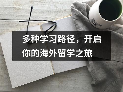 多种学习路径,开启你的海外留学之旅