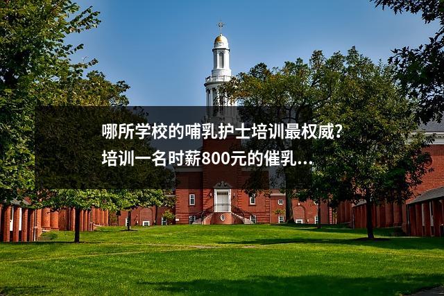 哪所学校的哺乳护士培训最权威?培训一名时薪800元的催乳师需要多少钱?