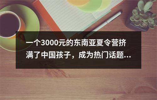 一个3000元的东南亚夏令营挤满了中国孩子,成为热门话题,一些家长对此泼了冷水。