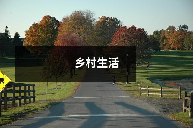 乡村生活
