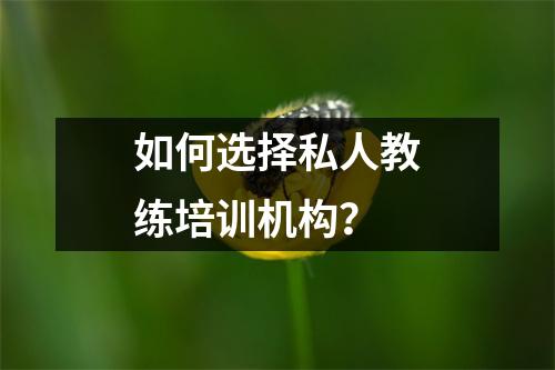 如何选择私人教练培训机构?