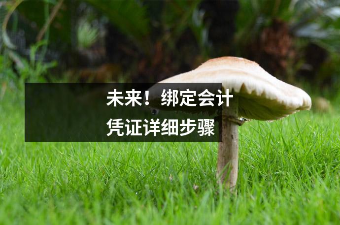 未来!绑定会计凭证详细步骤