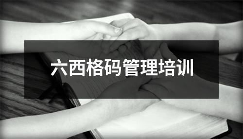 六西格码管理培训