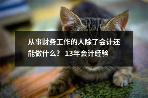 从事财务工作的人除了会计还能做什么? 13年会计经验