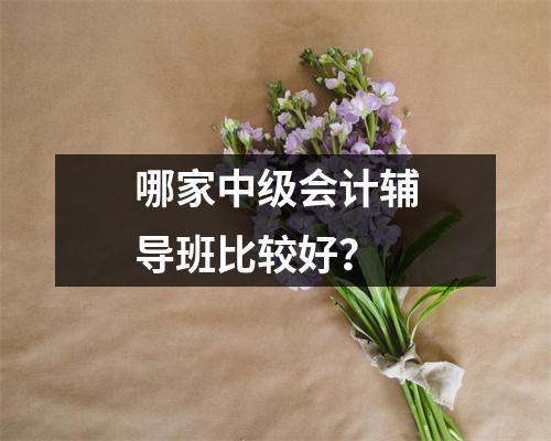 哪家中级会计辅导班比较好?