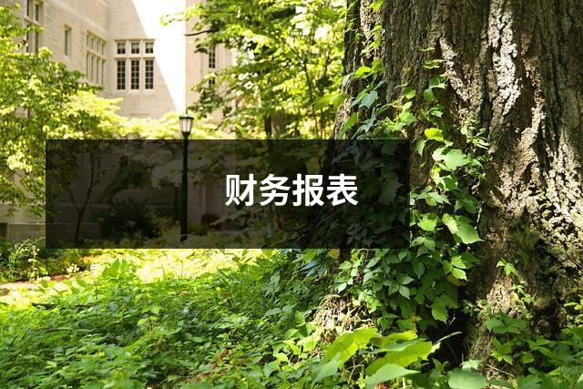 财务报表
