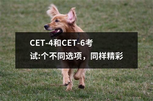 CET-4和CET-6考试:个不同选项,同样精彩