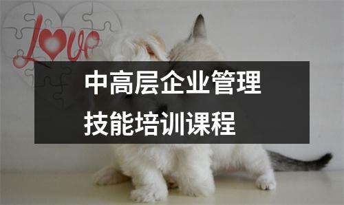 中高层企业管理技能培训课程