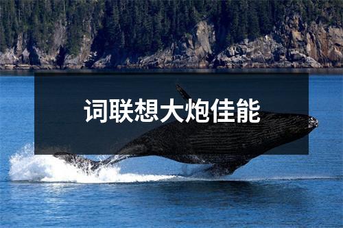 词联想大炮佳能