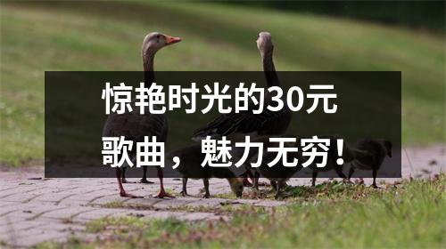 惊艳时光的30元歌曲,魅力无穷!