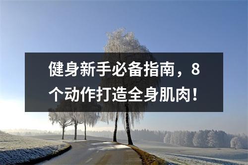健身新手必备指南,8个动作打造全身肌肉!