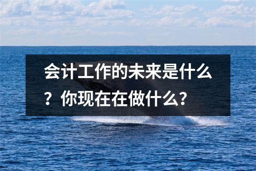 会计工作的未来是什么?你现在在做什么?