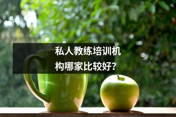 私人教练培训机构哪家比较好?