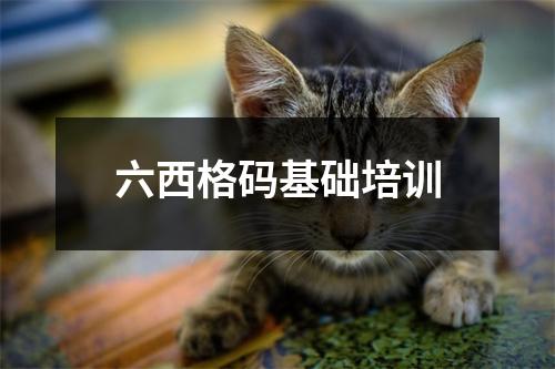 六西格码基础培训