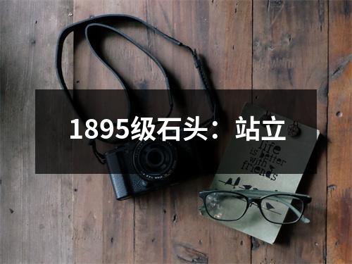 1895级石头:站立