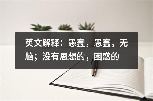 英文解释:愚蠢,愚蠢,无脑;没有思想的,困惑的