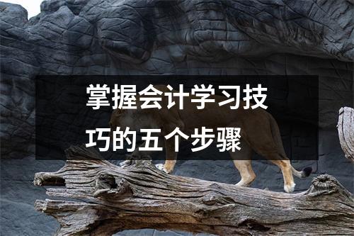 掌握会计学习技巧的五个步骤