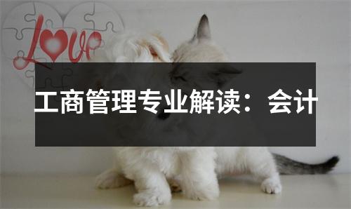 工商管理专业解读:会计