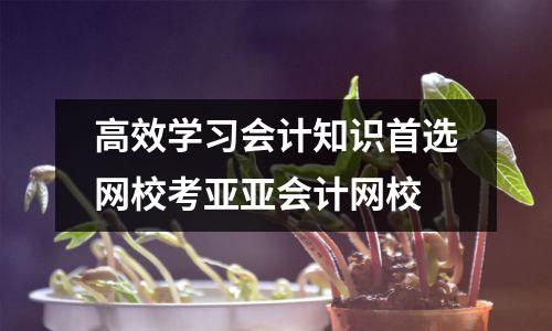 高效学习会计知识首选网校考亚亚会计网校