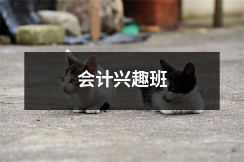 会计兴趣班