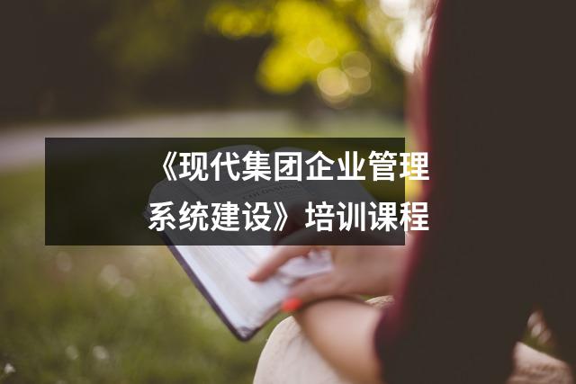 《现代集团企业管理系统建设》培训课程