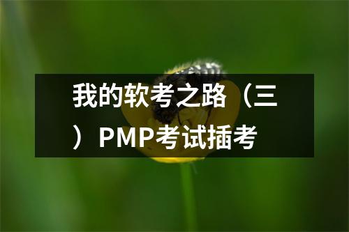 我的软考之路(三)PMP考试插考