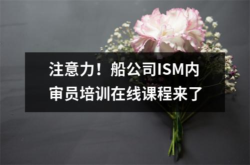 注意力!船公司ISM内审员培训在线课程来了