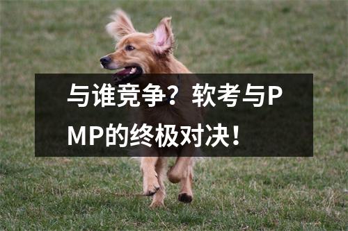 与谁竞争?软考与PMP的终极对决!