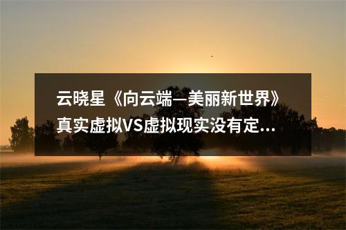 云晓星《向云端—美丽新世界》 真实虚拟VS虚拟现实没有定义