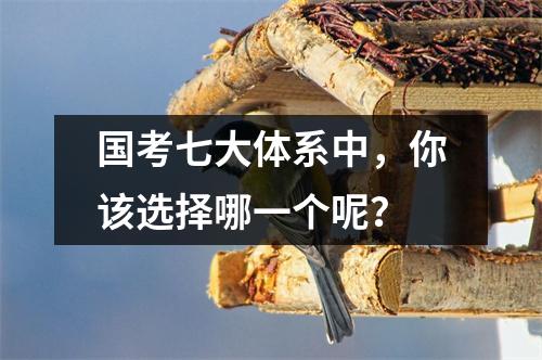 国考七大体系中,你该选择哪一个呢?
